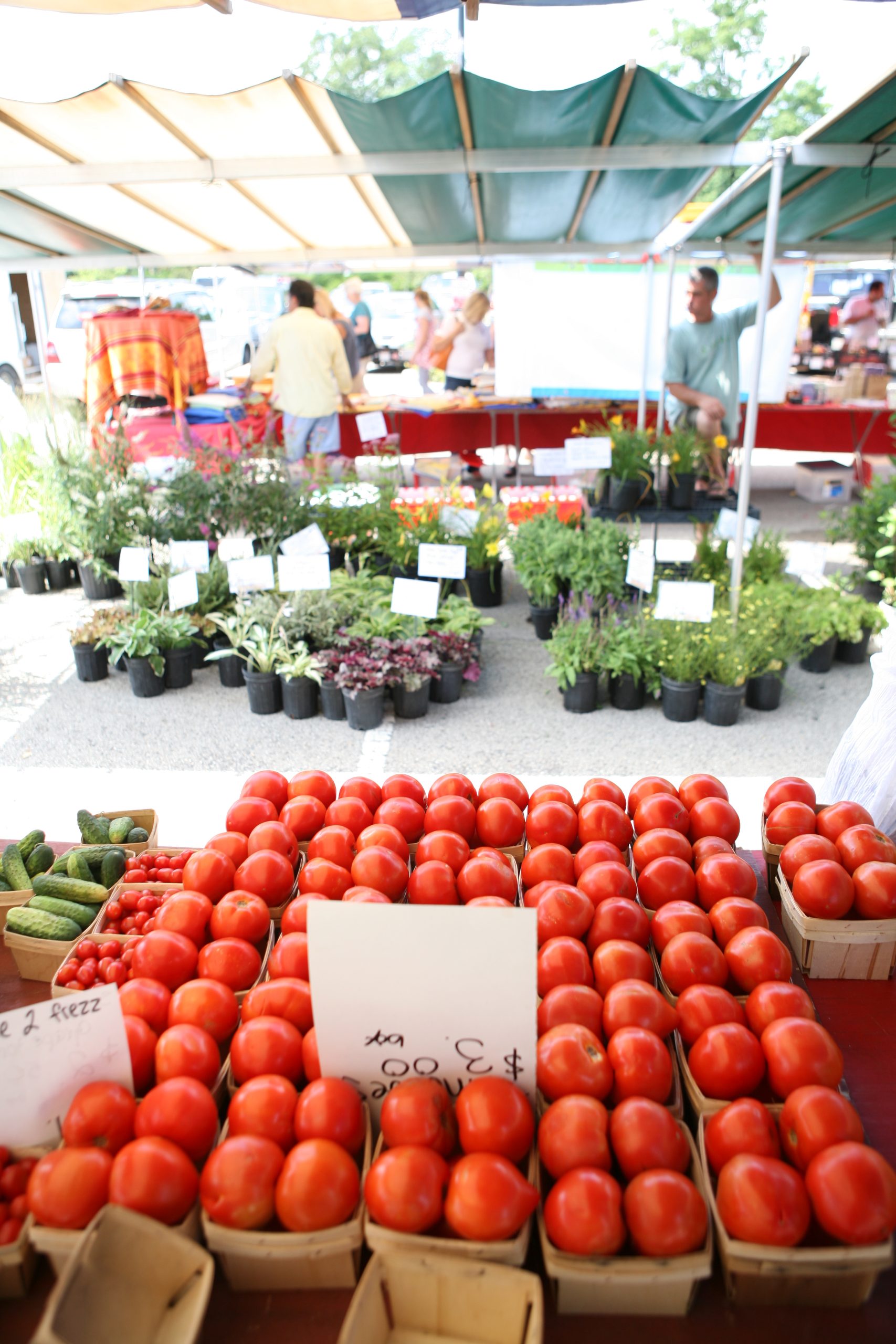 Geneva French Market Geneva Chamber of Commerce